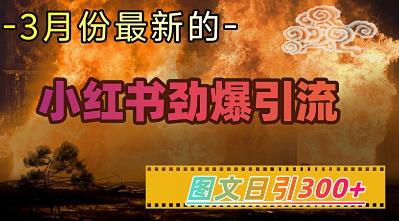 小红书超劲爆引流手段，图文日引300+轻松变现1W-聚赢网创