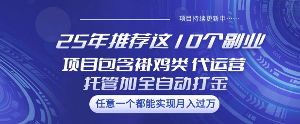 25年推荐这10个副业项目包含褂鸡类、代运营托管类、全自动打金类【揭秘】-聚赢网创