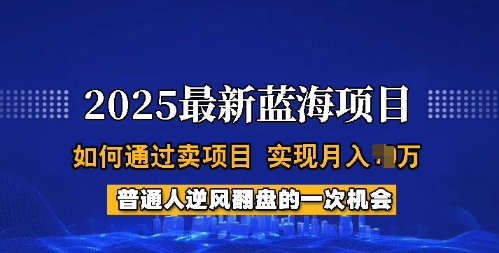 2025蓝海项目，普通人如何通过卖项目，实现月入过W，全过程【揭秘】-聚赢网创