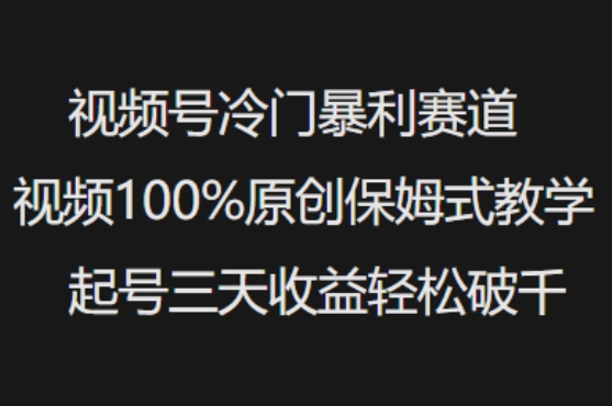视频号冷门暴利赛道视频100%原创保姆式教学起号三天收益轻松破千-聚赢网创