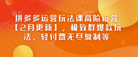 拼多多运营玩法课高阶运营【2月更新】，极致群爆款玩法，轻付费无尽复制等-聚赢网创