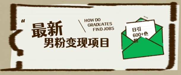 最新男粉变现项目，日引100+S粉，流量爆炸，小白轻松上手-聚赢网创